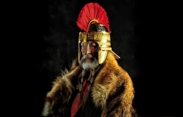 Картинка Воин, Шлем, Меха, Король, Мужчина, Конунг, Гребень, Staffordshire helmet, Англо-саксонский король, Стаффордширский шлем