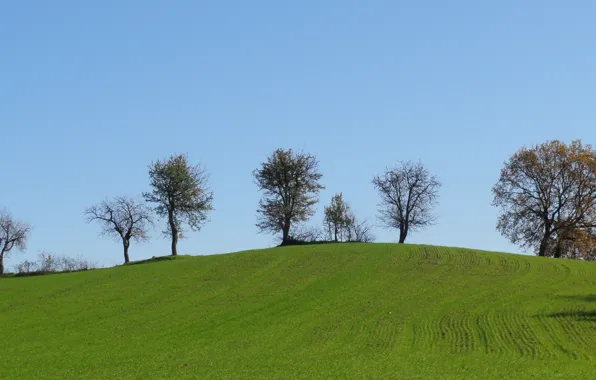 Картинка trees, hills, Pieria
