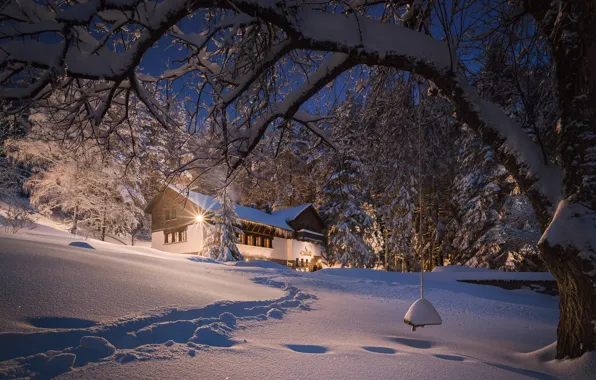 Картинка зима, лес, снег, дом, дерево, сугробы, тропинка, Болгария
