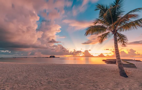 Картинка песок, пляж, небо, облака, закат, тропики, пальма, океан, Maldives, Индийский океан, Indian Ocean, Мадьдивы