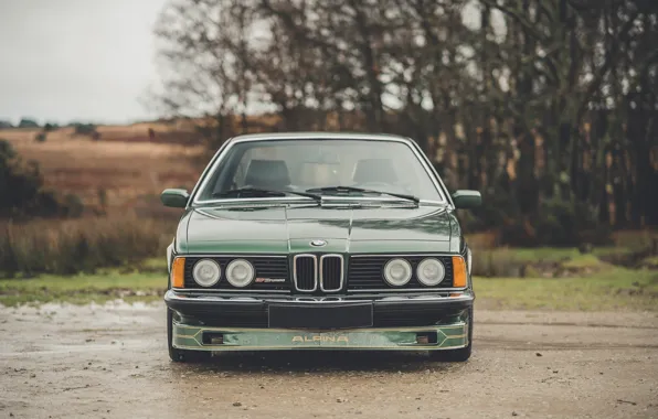 Картинка BMW, Green, Front, Turbo, Face, E24, 1982, Alpina, Alpina B7, Alpina B7 S