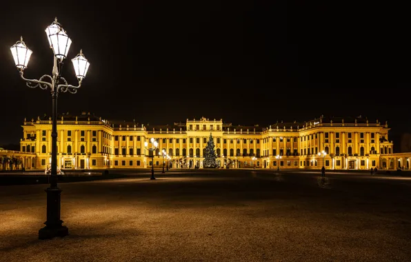 Картинка ночь, огни, новый год, рождество, Австрия, площадь, фонари, ёлка, гирлянда, дворец, Вена, Schönbrunn Palace