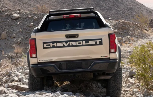 Картинка Chevrolet, вид сзади, Colorado, Chevrolet Colorado, 2022