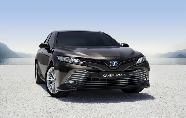Картинка Toyota, Hybrid, Camry, 2019, Toyota Camry Hybrid 2019
