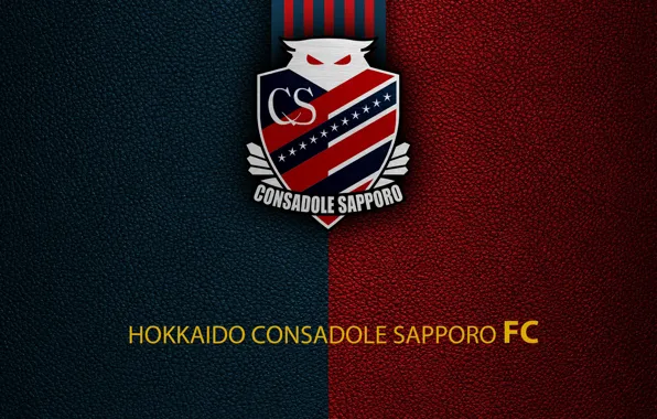 Картинка wallpaper, sport, logo, football, Hokkaido Consadole Sapporo