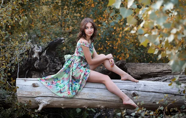 Картинка взгляд, листва, милая девушка, стройные ножки, Murat Kuzhakhmetov, поаз, сидя на дереве