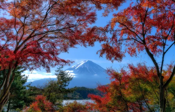 Картинка осень, деревья, листва, вид, гора, Фудзияма