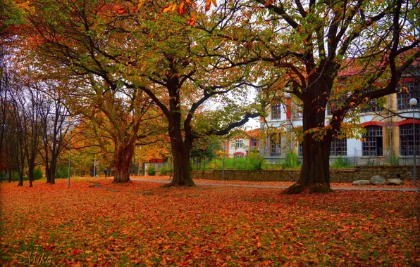 Картинка Осень, Деревья, Здание, Fall, Листва, Autumn, Building, Trees, Leaves
