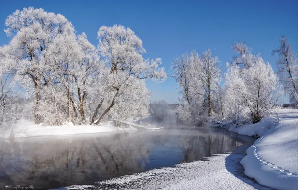 Картинка зима, иней, солнце, снег, деревья, река, мороз