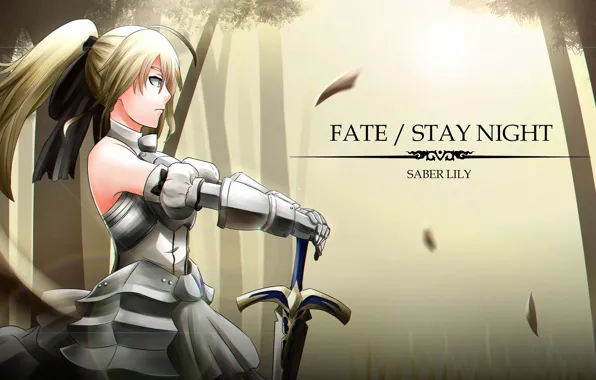 Картинка девушка, меч, сейбер, Судьба ночь схватки, Fate / Stay Night