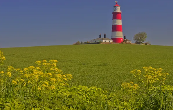 Картинка поле, дом, маяк, Англия