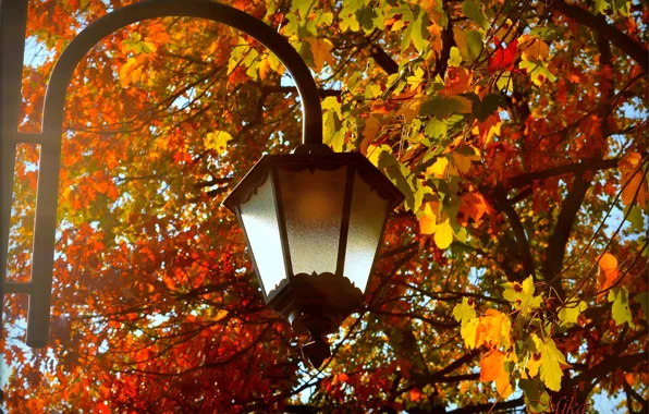 Картинка Осень, Листья, Фонарь, Fall, Autumn, Leaves