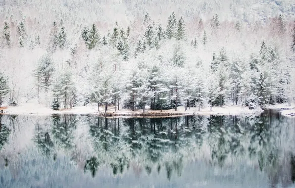 Картинка осень, природа, Norge, Hordaland Fylke, Skulestadmo