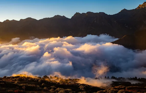 Картинка горы, туман, скалы, утро, клубится