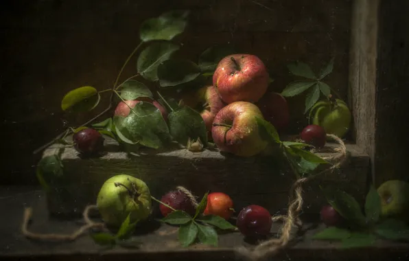 Картинка листья, яблоки, алыча