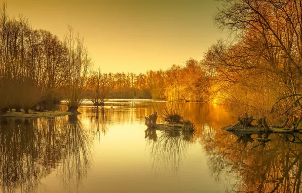 Картинка осень, озеро, утро