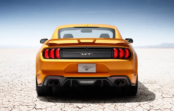 Картинка жёлтый, Mustang, Shelby, Машина