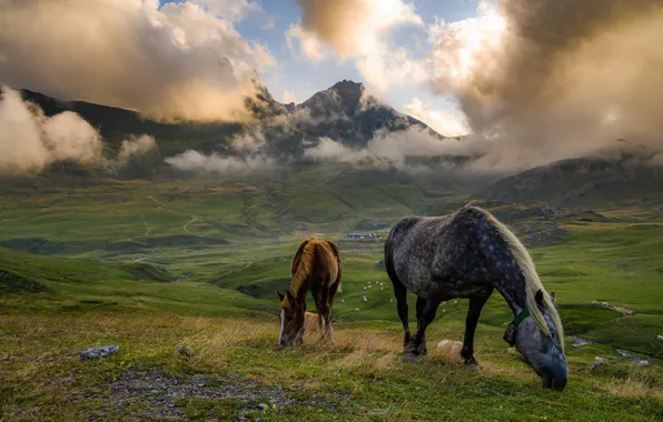 Картинка облака, горы, туман, лошадь, кони, лошади, пастбище, жеребенок, пасутся