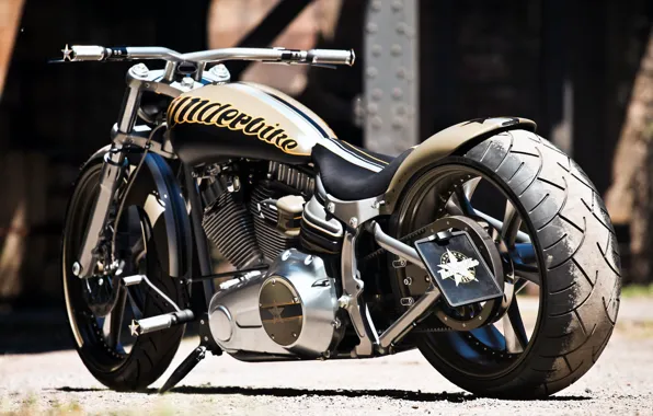 Картинка Harley-Davidson, Custom, Thunderbike
