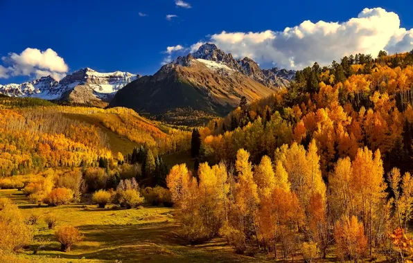 Картинка осень, лес, небо, облака, горы, Колорадо