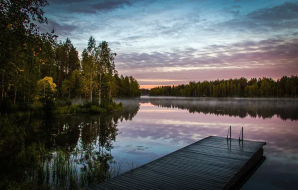 Картинка лес, туман, озеро, утро, Финляндия
