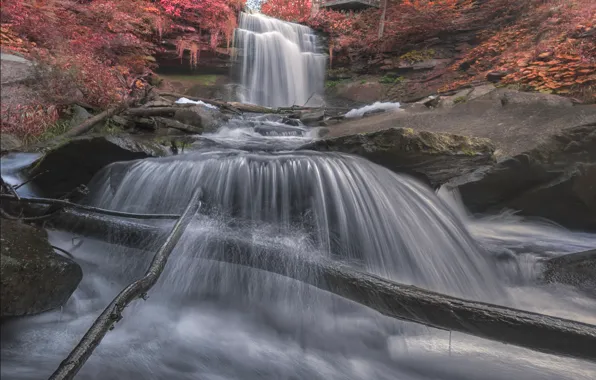 Картинка осень, скалы, водопад, поток