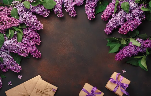 Картинка цветы, подарок, wood, flowers, сирень, lilac, frame, gift box