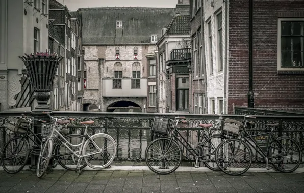 Картинка Holland, Dordrecht, Bicycles