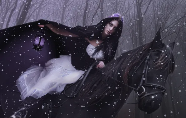 Картинка девушка, лошадь, фонарь, наездница, плащ
