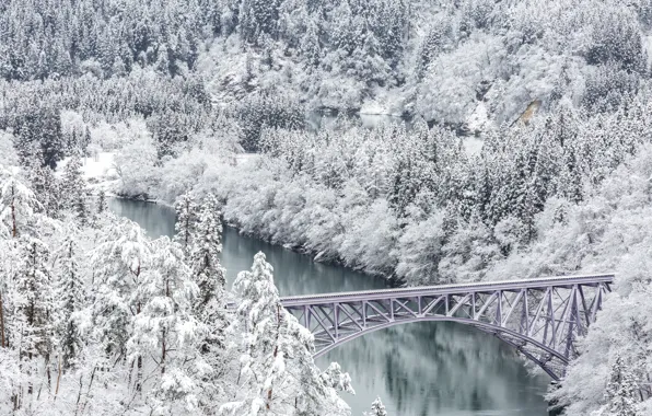 Картинка зима, снег, деревья, пейзаж, река, зимний, river, landscape, nature, beautiful, winter, snow