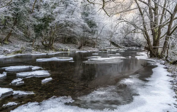 Картинка зима, иней, снег, деревья, река, утро, мороз