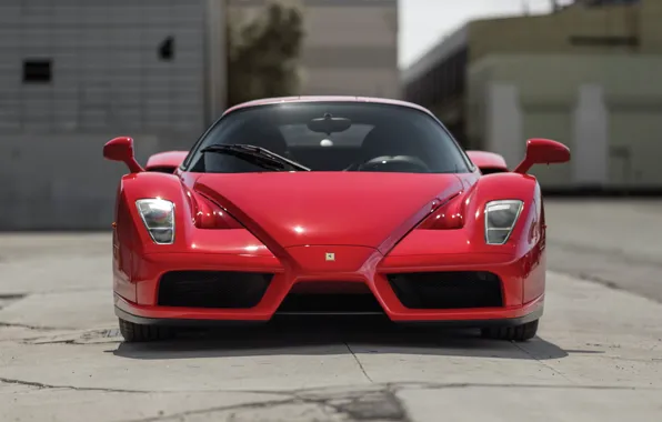 Картинка Ferrari, Enzo, Front view