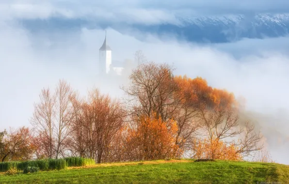 Картинка осень, деревья, пейзаж, природа, туман, церковь, кусты, Словения, Александр Кукринов