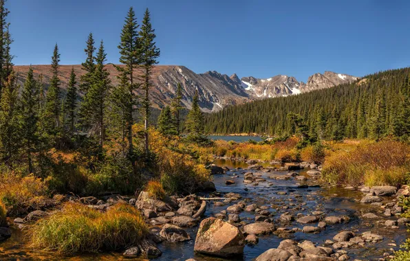 Картинка лес, горы, ручей, Колорадо, панорама, речка, Colorado, Indian Peaks Wilderness