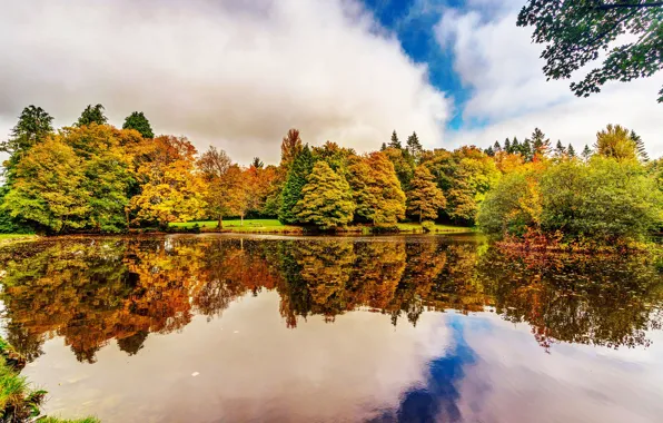 Картинка осень, деревья, отражение, река, сад, Ирландия, Botanic Gardens Dublin