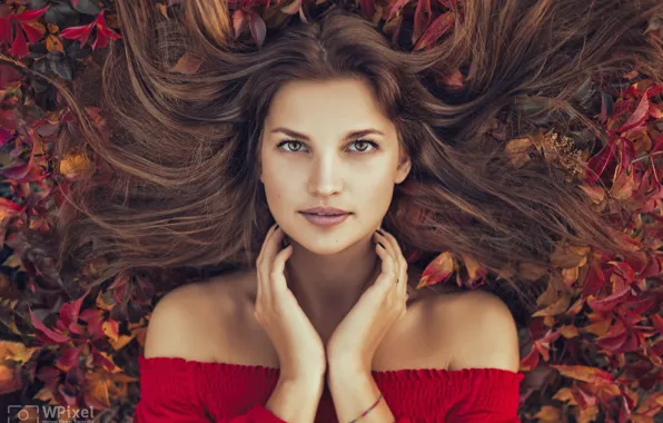 Картинка осень, взгляд, листья, девушка, лицо, волосы, портрет, руки, декольте, плечи, Wojtek Polaczkiewicz