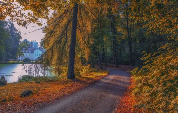 Картинка дорога, осень, лес, деревья, озеро, парк, здание