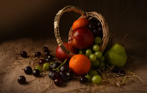 Картинка темный фон, яблоки, еда, виноград, гроздь, груша, фрукты, натюрморт, россыпь, корзинка, мешковина, черешня, композиция, мандарины