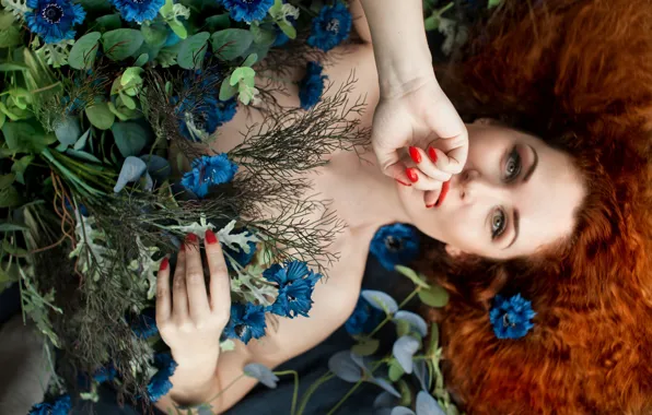 Картинка взгляд, девушка, цветы, лицо, волосы, руки, рыжая, рыжеволосая, Жак Меа