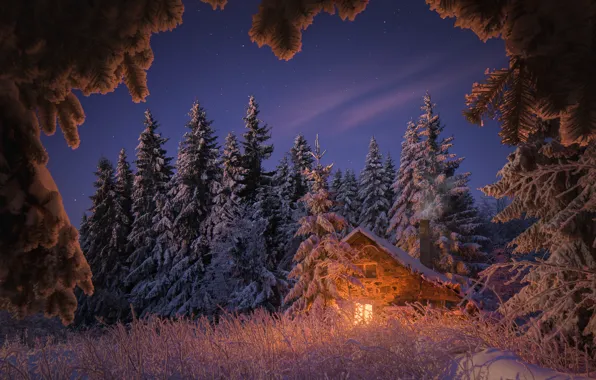 Картинка зима, лес, небо, трава, свет, снег, деревья, пейзаж, природа, дом, звёзды, вечер, ели, Калин Панчев