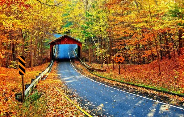 Картинка nature, autumn, highway, cambron covered bridge