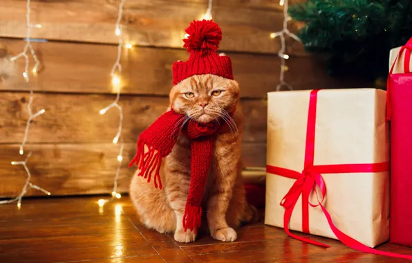 Картинка кошка, кот, шарф, рыжий, Рождество, подарки, Новый год, гирлянды, шапочка, коробки