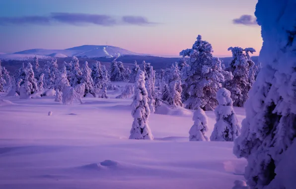 Картинка зима, снег, деревья, сугробы, Финляндия, Finland, Lapland, Лапландия