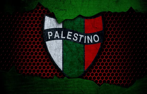 Картинка wallpaper, sport, logo, football, Palestino