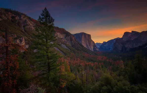 Картинка Калифорния, США, Йосемити, Yosemite National Park