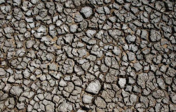 Картинка поверхность, трещины, земля, засуха, land, drought, surface, cracks