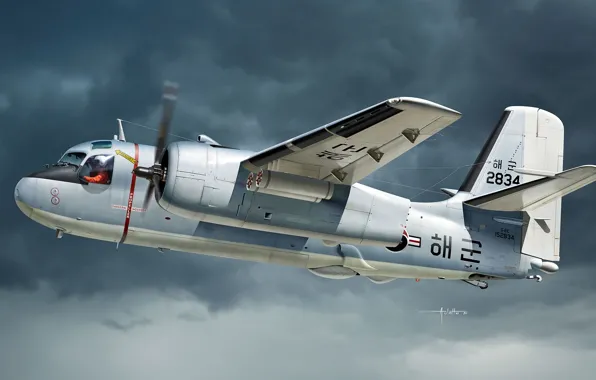 Картинка средней дальности, палубный тактический транспортный самолёт, Grumman C-2 Greyhound