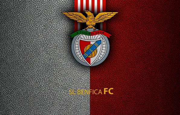 Картинка wallpaper, sport, logo, football, SL Benfica, Primeira