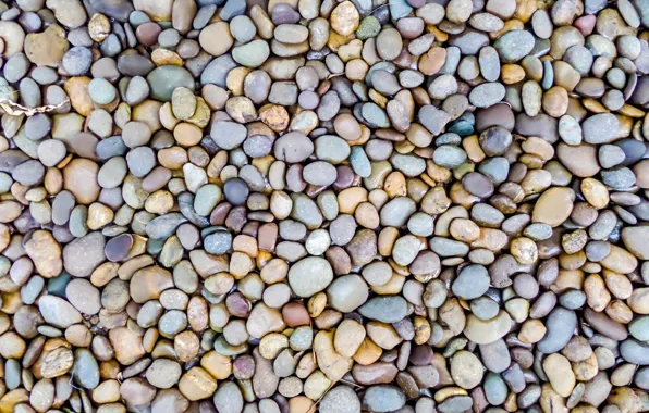 Картинка пляж, галька, камни, фон, белые, beach, texture, marine, морские, pebbles