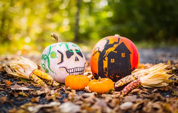 Картинка осень, листья, свет, природа, дом, парк, поляна, череп, кукуруза, рисунки, тыквы, хэллоуин, хеллоуин, боке, разрисованные